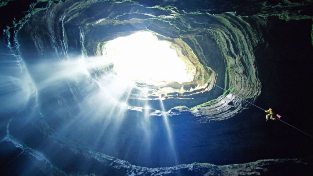 Antsily: The Hidden World Buzzing Beneath Your Feet