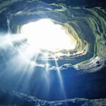 Antsily: The Hidden World Buzzing Beneath Your Feet